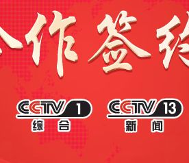 cctv品牌