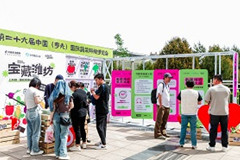 风筝为引，“放风”造势！「山东DOU是好风光·宝藏潍坊」焕新商家生意经