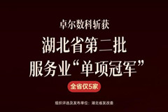 卓尔数科入选多项湖北省市级企业TOP100榜单